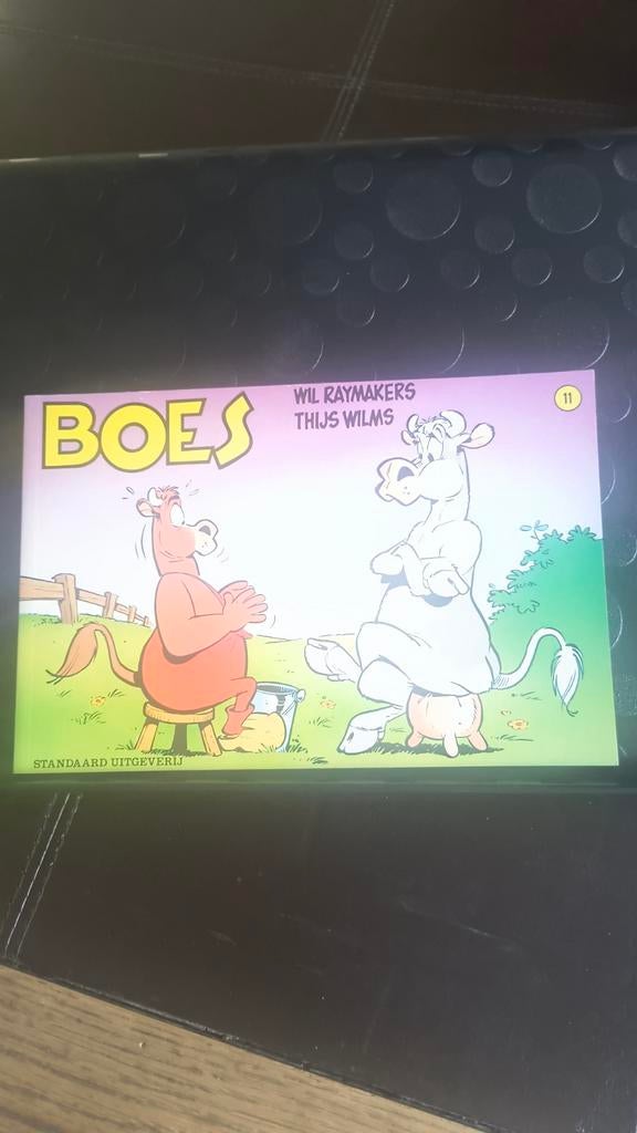 Wil Raymakers - Boes 11, Boeken, Stripverhalen, Ophalen of Verzenden, Wil Raymakers
