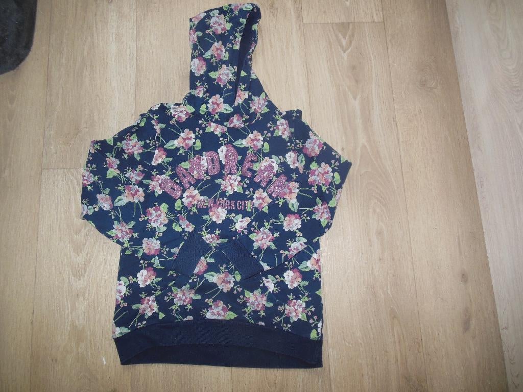 hoodie Zara 164 in nieuwstaat, Enfants & Bébés, Vêtements enfant | Taille 164, Enlèvement ou Envoi, Pull ou Veste, Comme neuf
