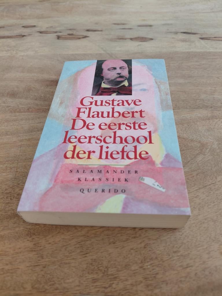 Gustave Flaubert - De eerste leerschool der liefde, Ophalen of Verzenden, Gustave Flaubert