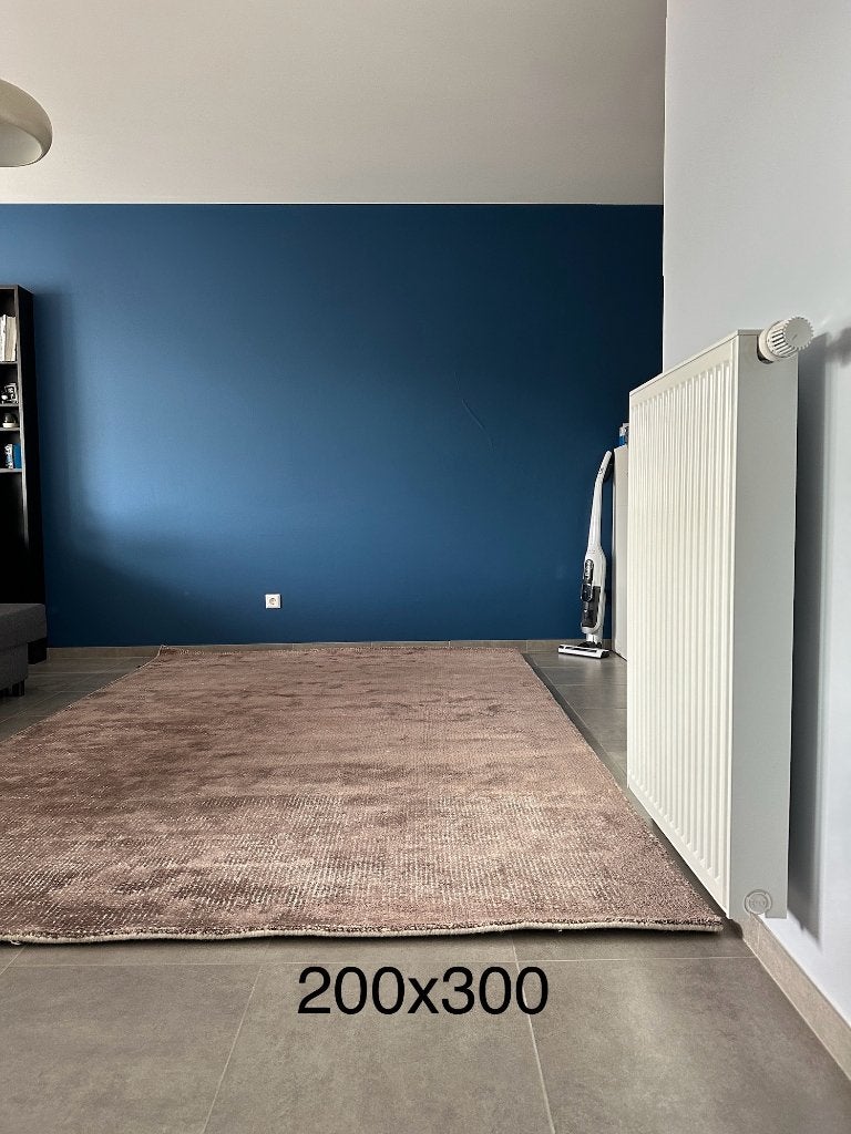 Tapis BoConcept 200x300, 200 cm ou plus, 200 cm ou plus, Beige, Enlèvement