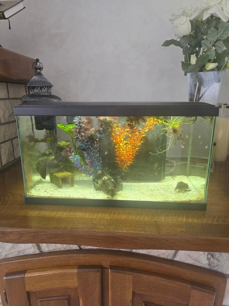 Aquarium, accessoire et poissons, Enlèvement