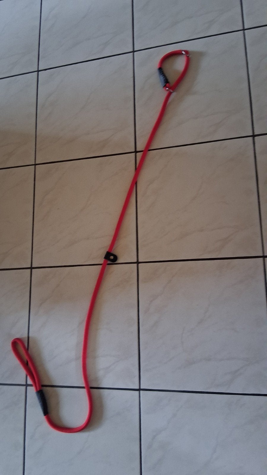 Leiband hond, Dieren en Toebehoren, Ophalen