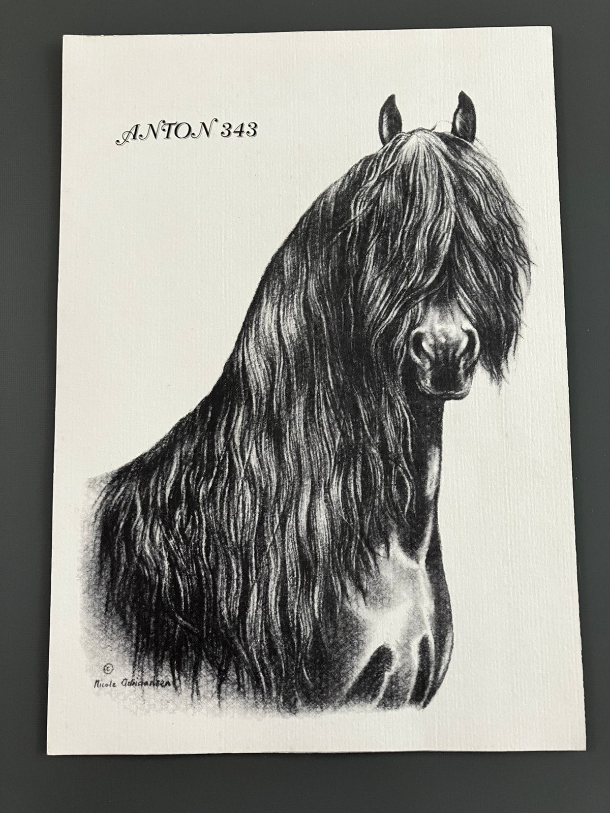 Tekening FRIESE paard., Enlèvement ou Envoi, Dessin