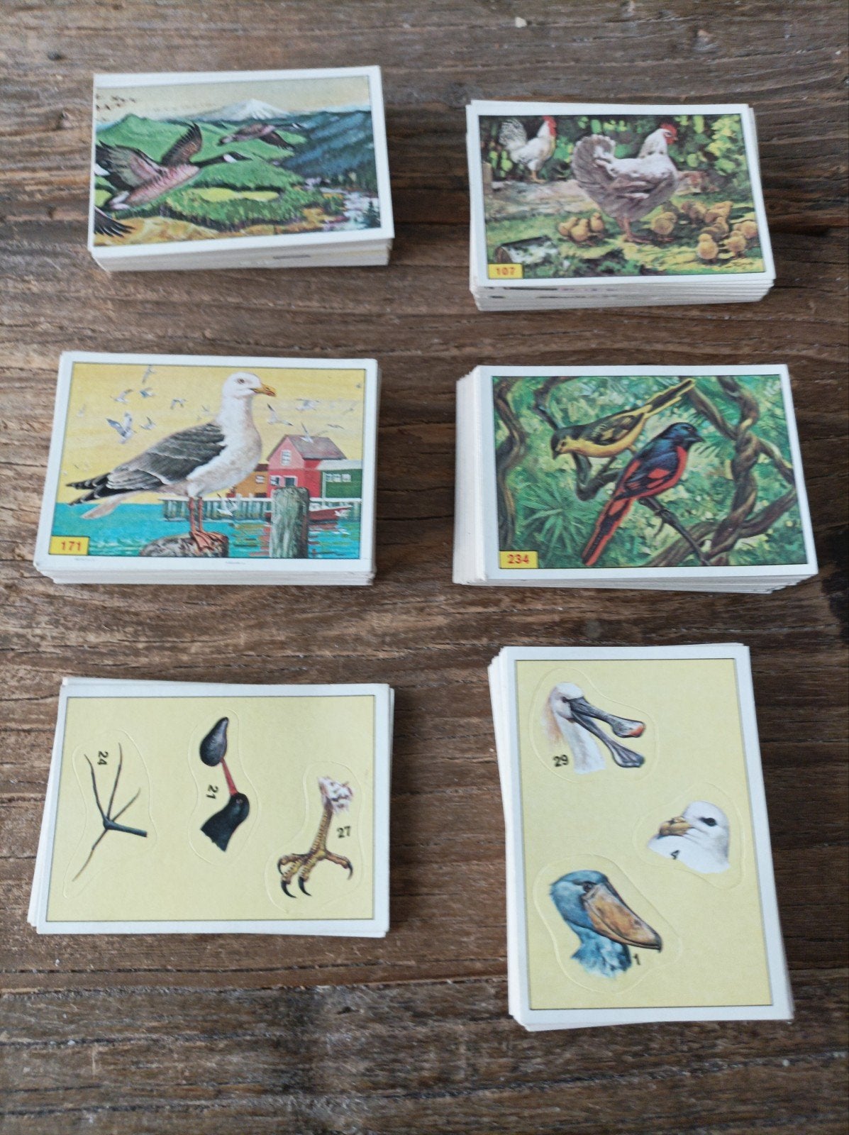 Panini Birds, 258 autocollants différents., Enlèvement ou Envoi