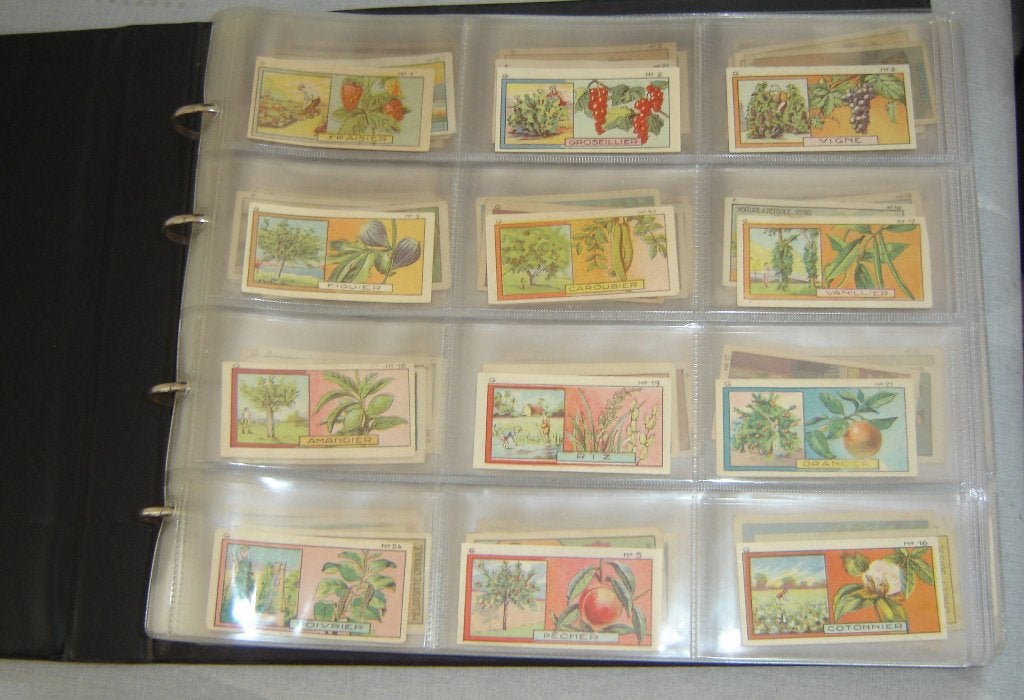 Chromos Oude JACQUES Chocolate in kaft, Verzamelen, Foto's en Prenten, Gebruikt, Ophalen of Verzenden, Voor 1940, Prent