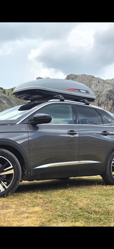 Originele Peugeot 3008 2016-2024 dakdragers, Enlèvement