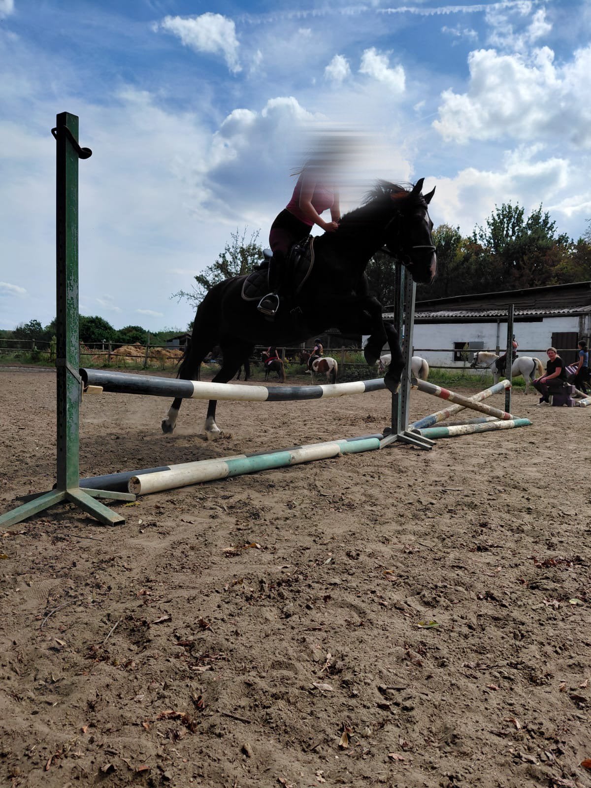 Pony, Dieren en Toebehoren, Pony's, Merrie
