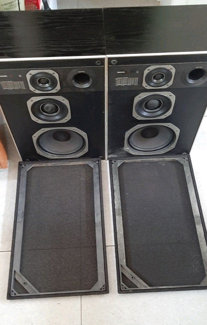 💥Philips 22AH489 luidsprekers, 8-inch woofer, 110W,, Audio, Tv en Foto, Luidsprekerboxen, Ophalen of Verzenden, Philips