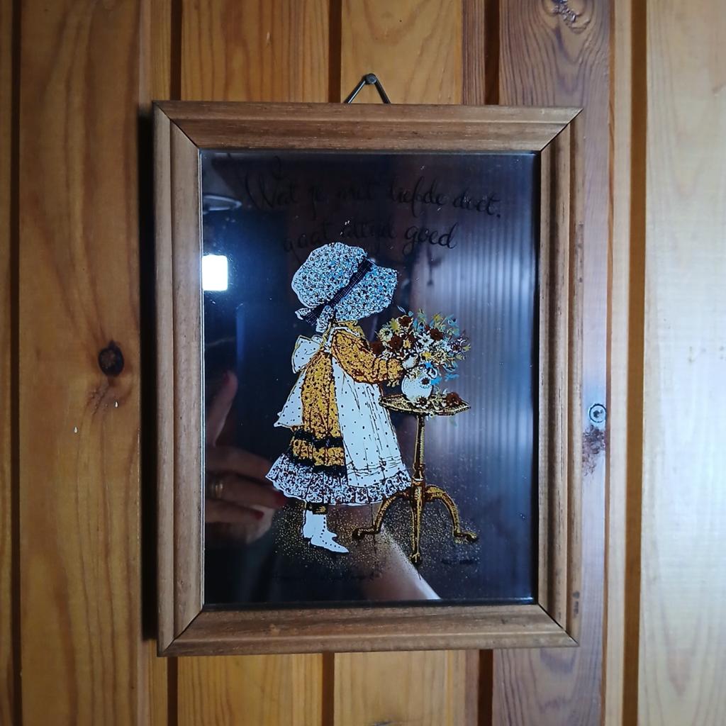 Kadertje holly hobbie, Enlèvement