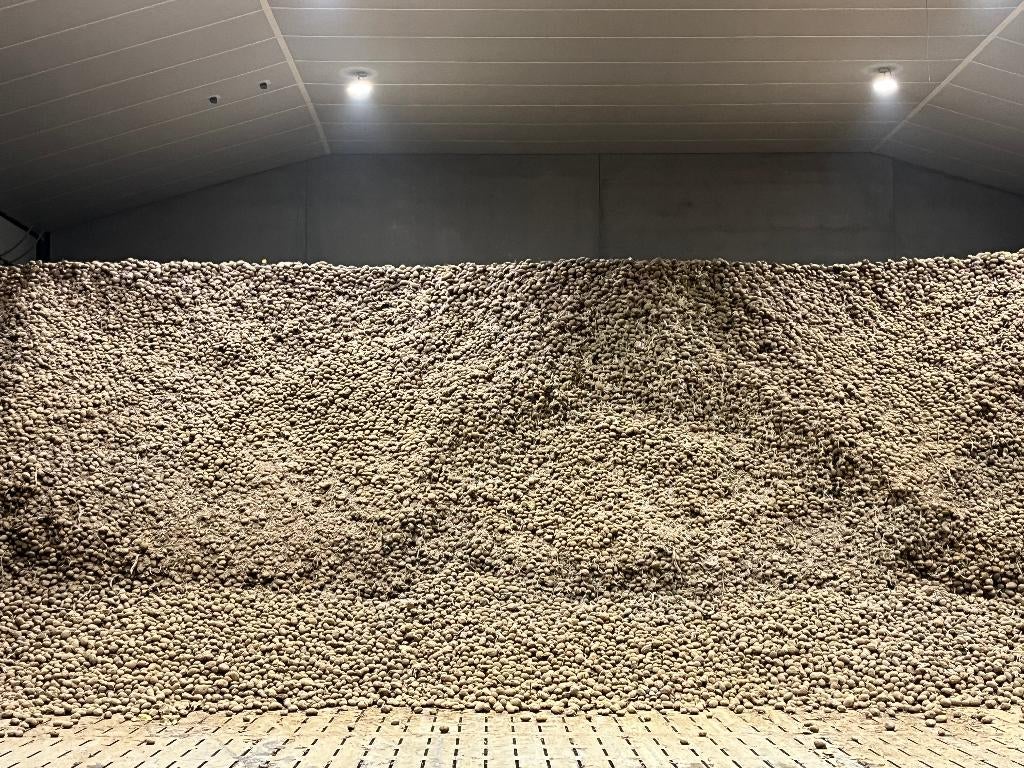 voederaardappelen, Zakelijke goederen, Landbouw | Aardappelen, Groenten, Fruit en Vlees, Ophalen