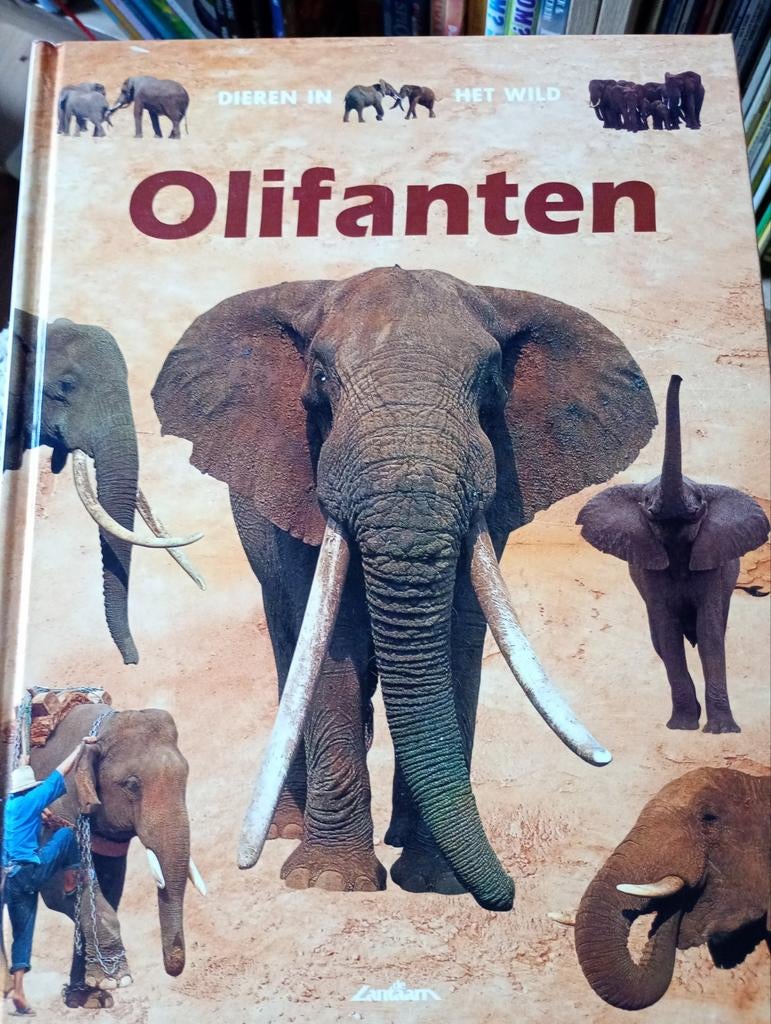 Boek dieren in het wild ; olifanten, Ophalen