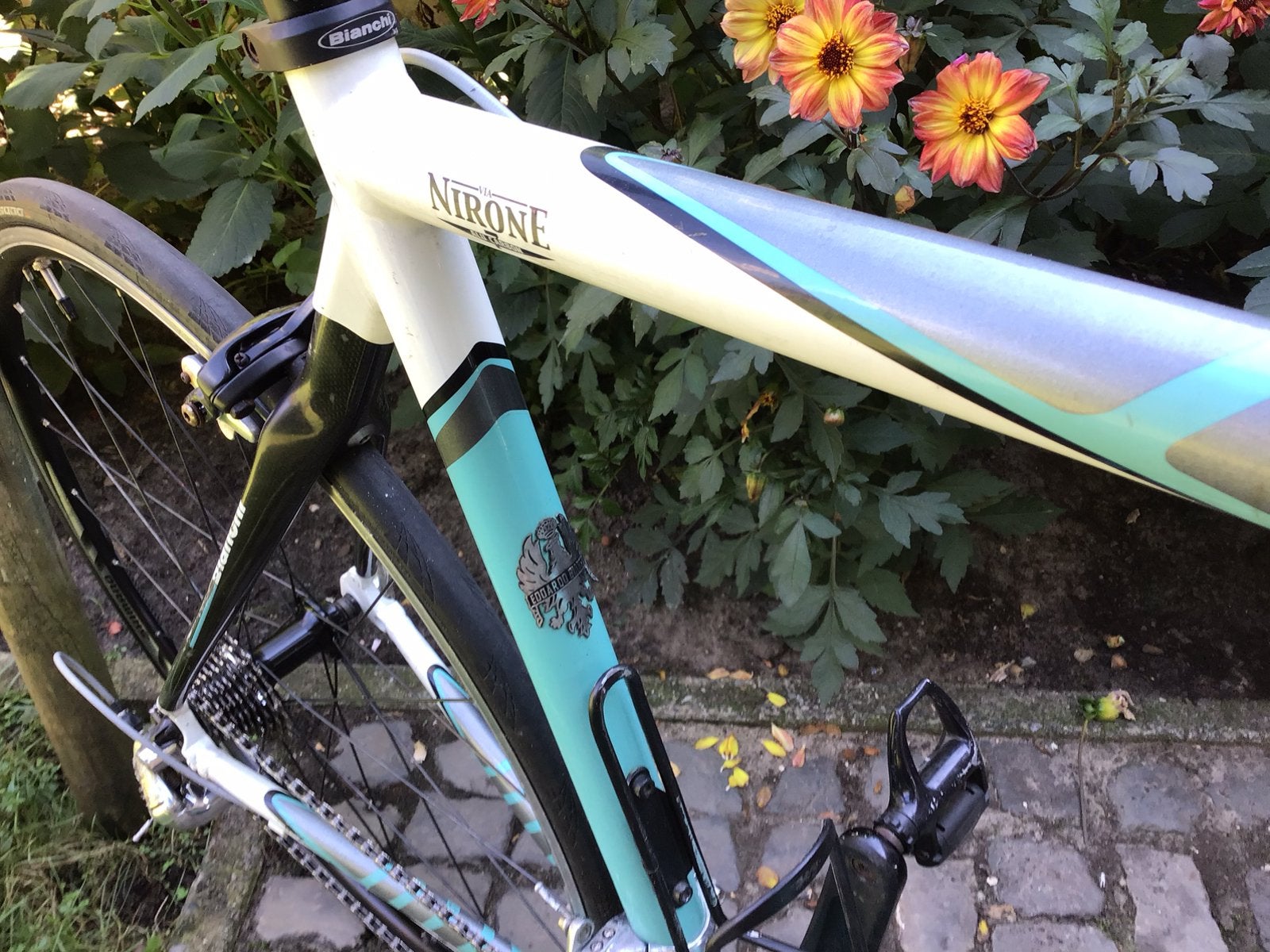 Bianchi maat 55, Fietsen en Brommers, Fietsen | Racefietsen, Ophalen, 28 inch, Gebruikt, Carbon