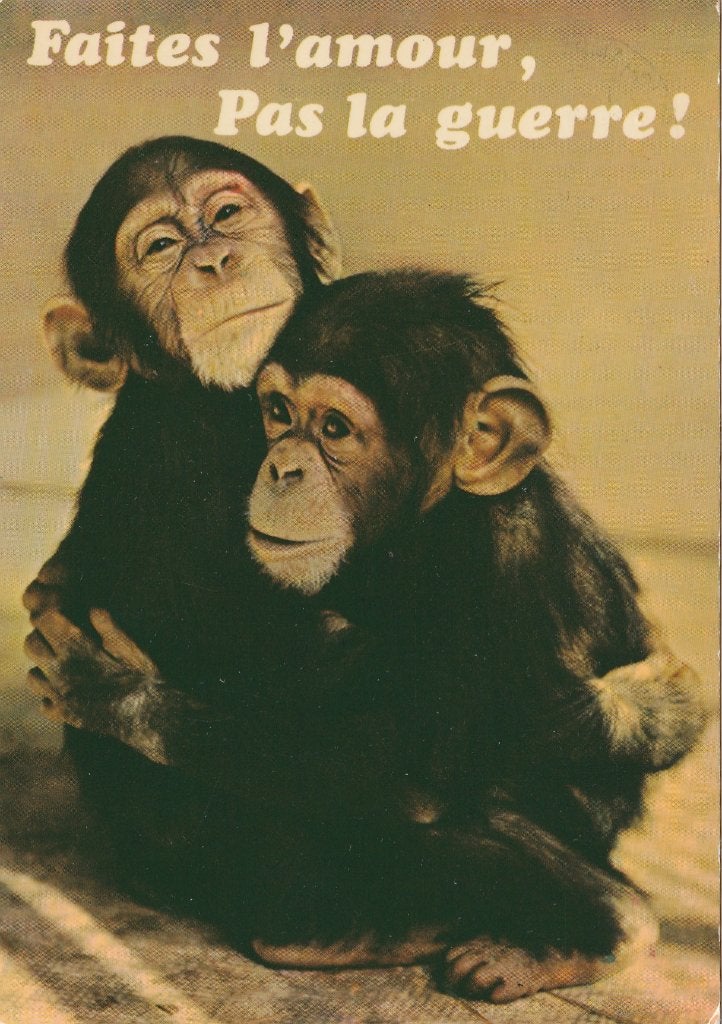 JONGE  CHIMPANSEES, Verzamelen, Ophalen of Verzenden, 1960 tot 1980, Gelopen, Wild dier