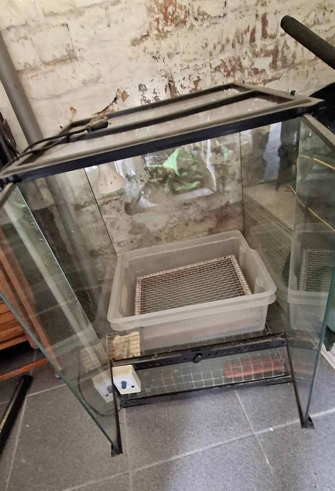 Terrarium, Dieren en Toebehoren, Ophalen, Gebruikt