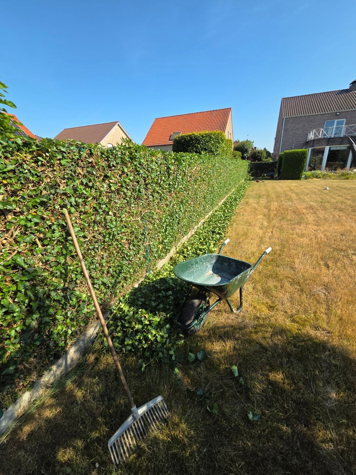 Top in vormsnoei!, Diensten en Vakmensen, Bestrating