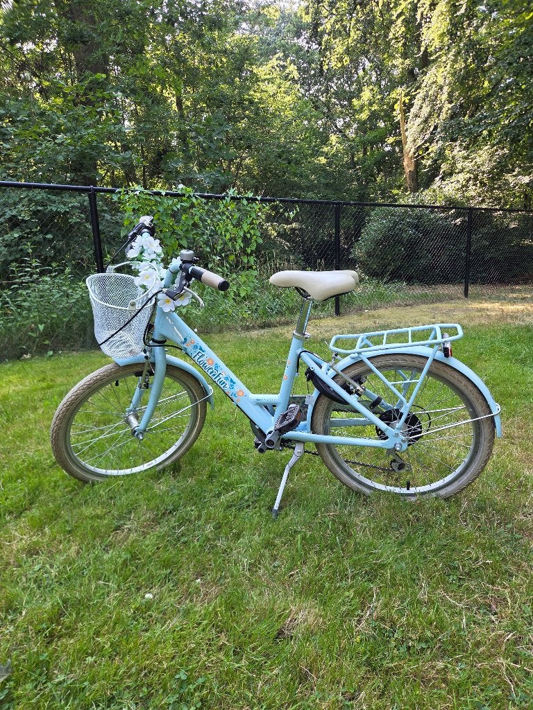Vrolijke & betrouwbare meisjesfiets (20"), Vélos & Vélomoteurs, Vélos | Vélos pour enfant, Frein sur jante, Enlèvement, 20 pouces ou plus