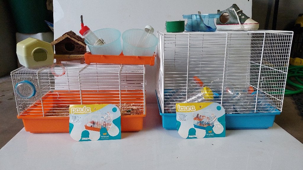 2 Ferplast Kooien (Paula & Laura) + Alle Accessoires, Ophalen of Verzenden, Nieuw, Reiskooi of Transportbox, Cavia