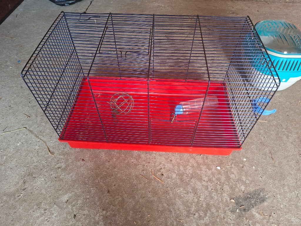 knaagdieren kooi met toebehoren, Kooi, Gebruikt, Minder dan 75 cm, Muis