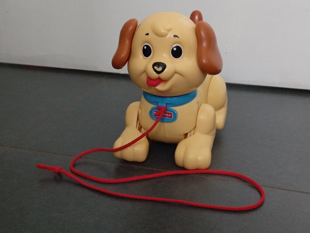 Petit chien à tirer, Enlèvement, Utilisé, Garçon ou Fille