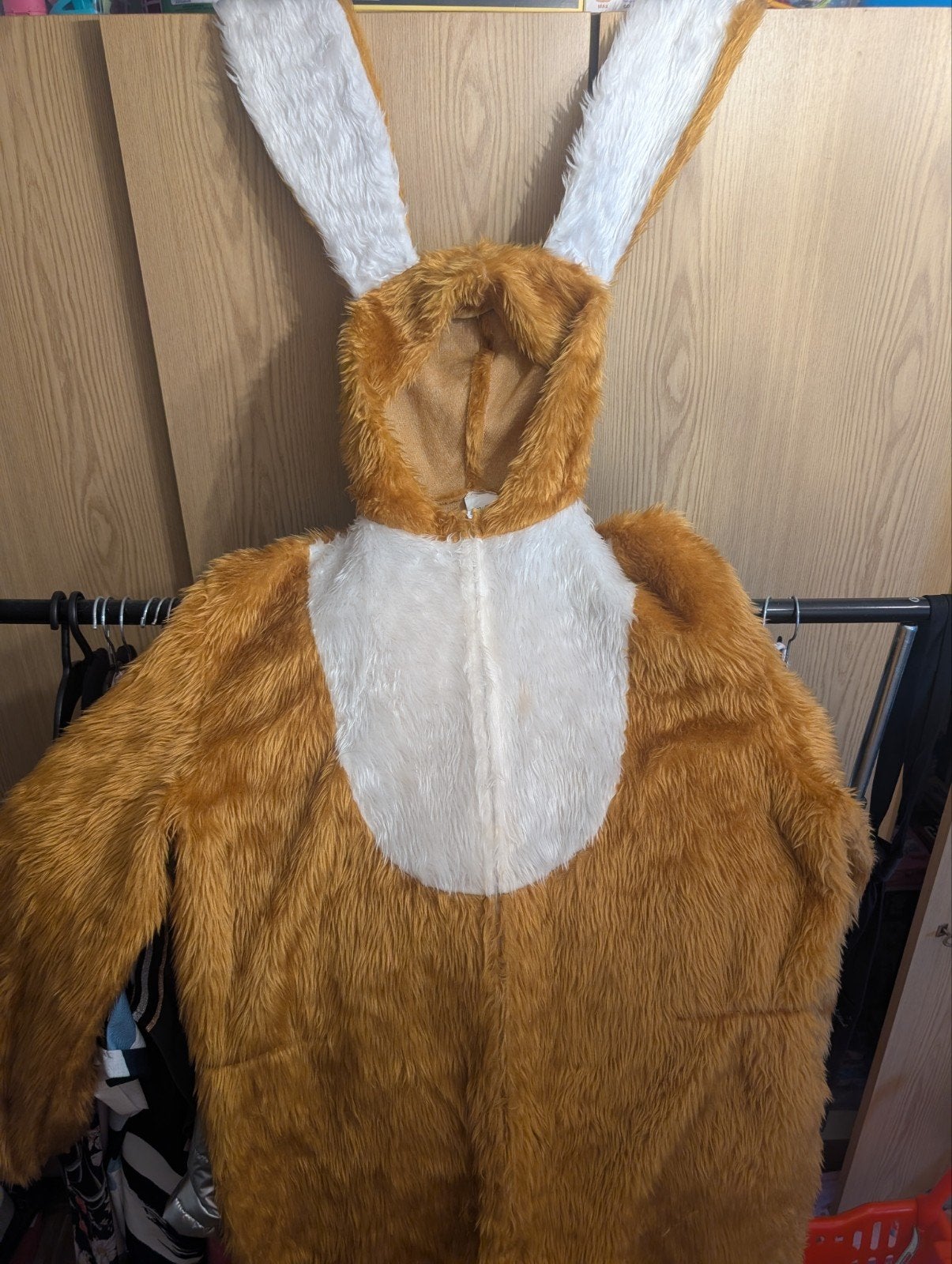 paashaas kostuum, Ophalen, Gedragen, Overige maten, Kleding