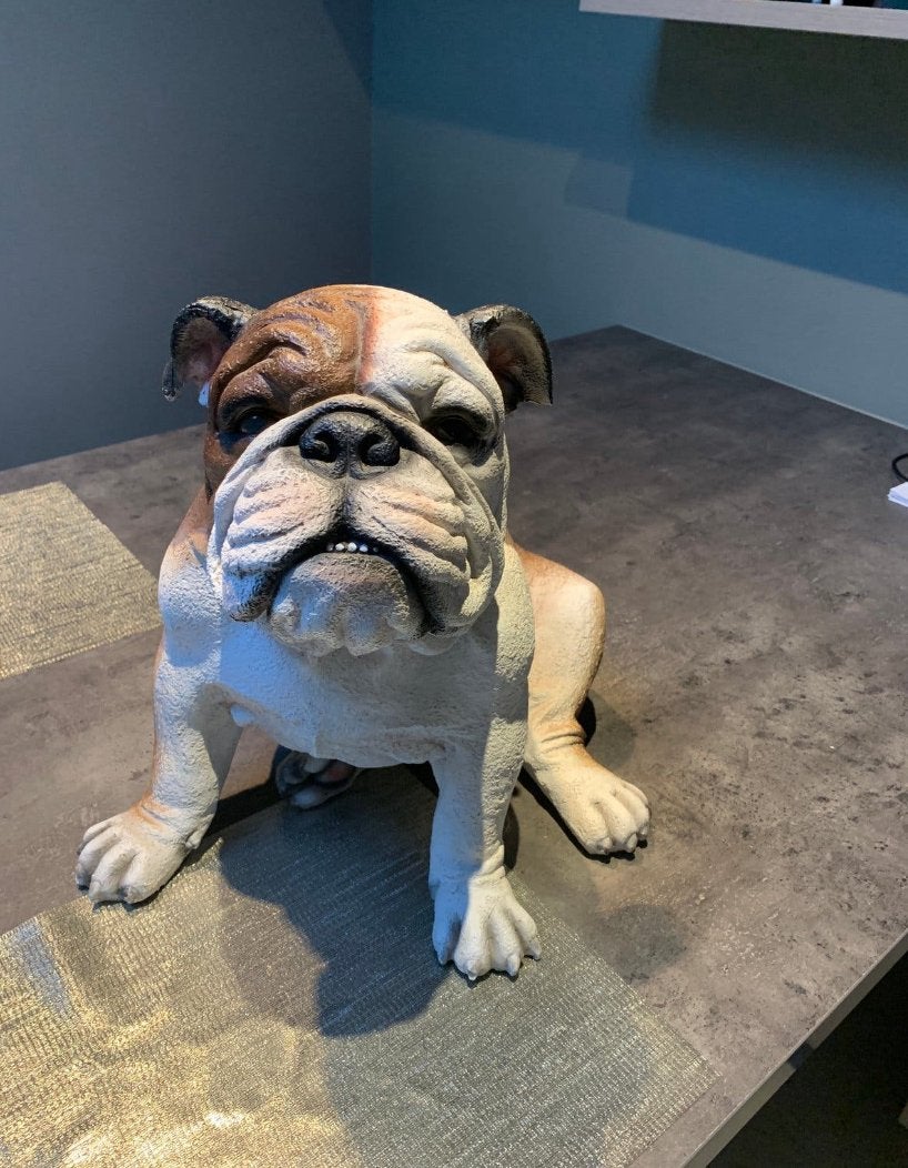 Beeld engelse bulldog, Enlèvement, Comme neuf