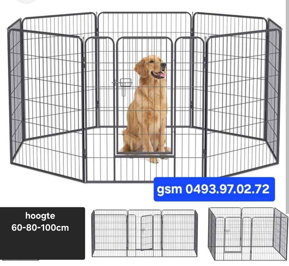 hondenren-puppyren NIEUW IN DE DOOS, Ophalen, Nieuw