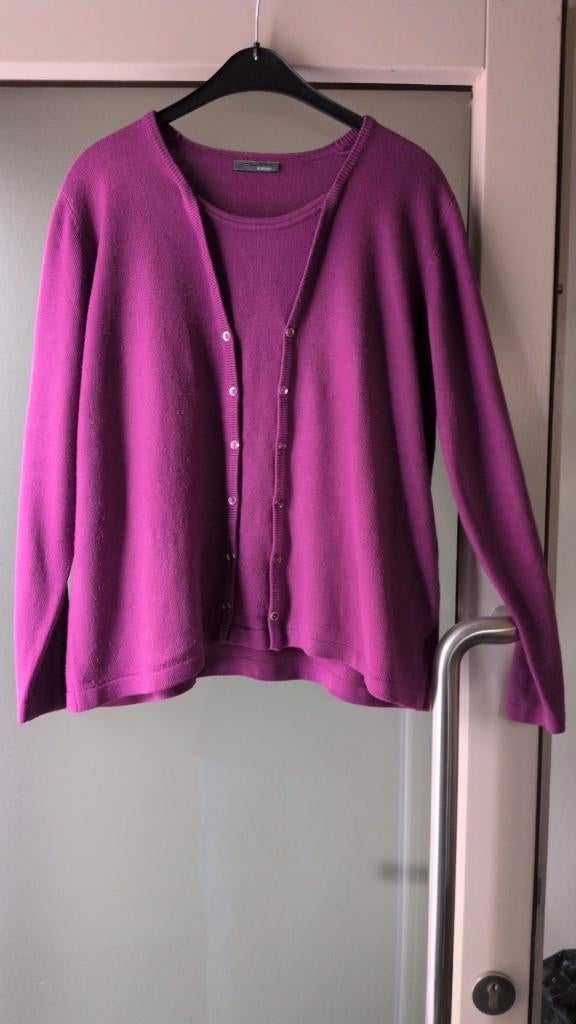 paars trui - XL - 5€, Kleding | Dames, Grote Maten, Ophalen of Verzenden, Gedragen, Paars, Trui of Vest