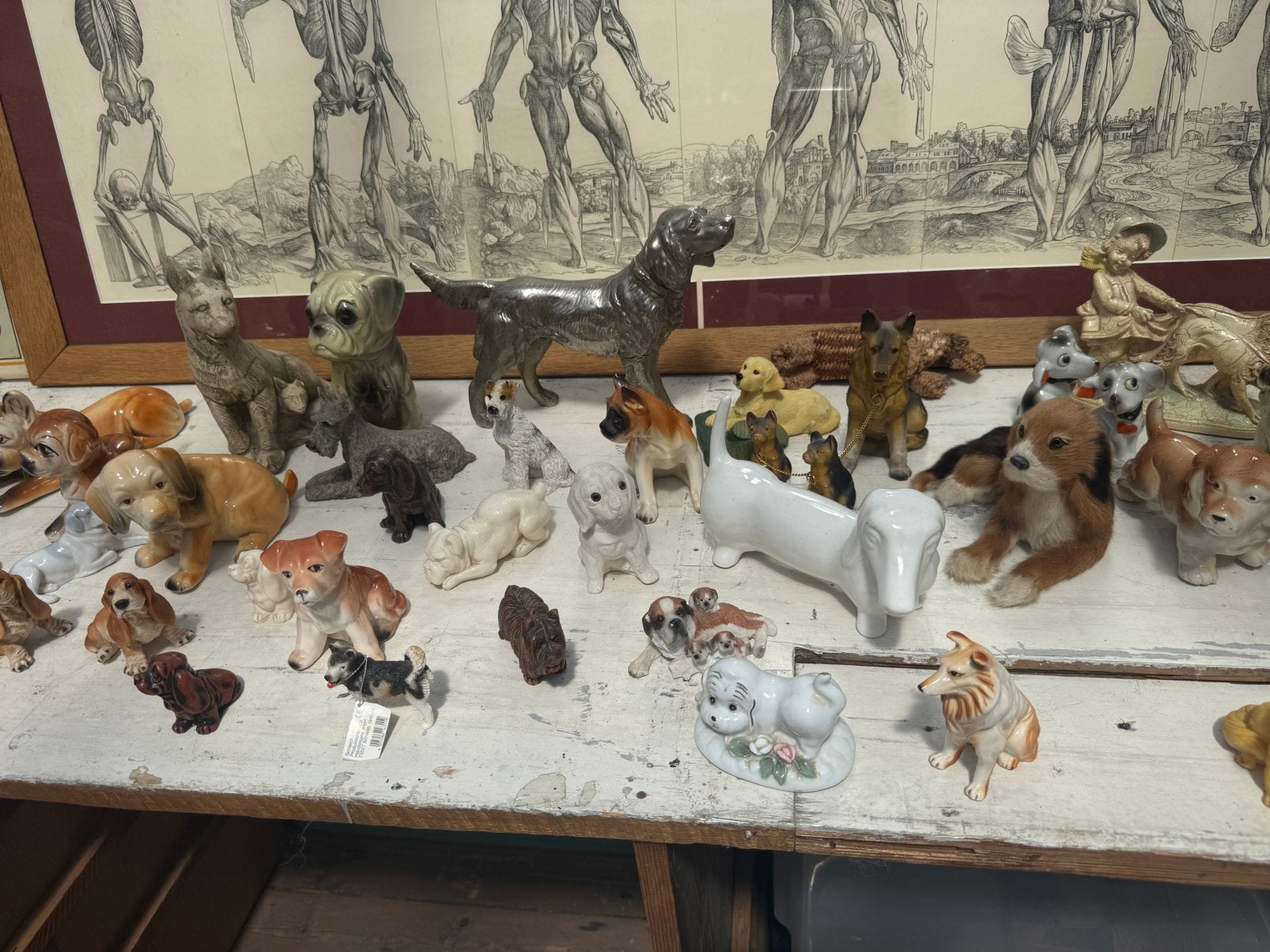 40 hondjes, Antiek en Kunst, Ophalen