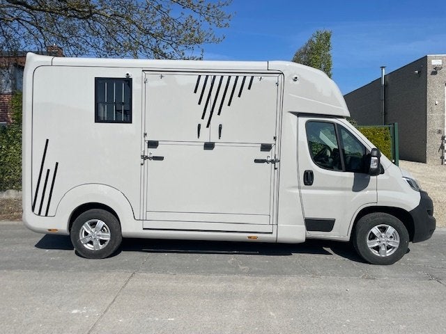 Nouvelle option complète AKX STX. Entièrement nouvelle, Animaux & Accessoires, Enlèvement, Neuf, Polyester, Remorque 2 chevaux