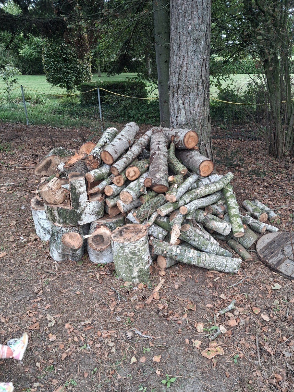 brandhout berk en eik, Tuin en Terras, Ophalen
