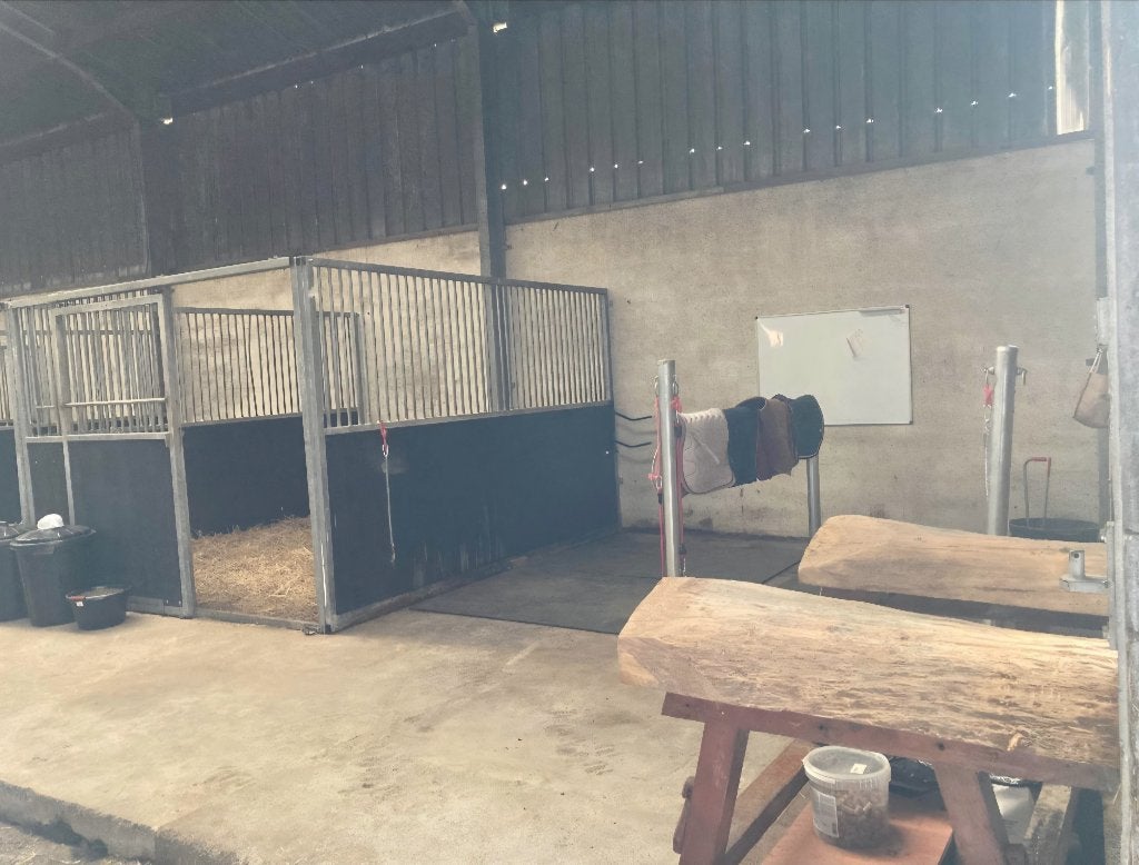 Ecurie chevaux place dispo, Animaux & Accessoires, Élevage, 4 chevaux ou poneys ou plus
