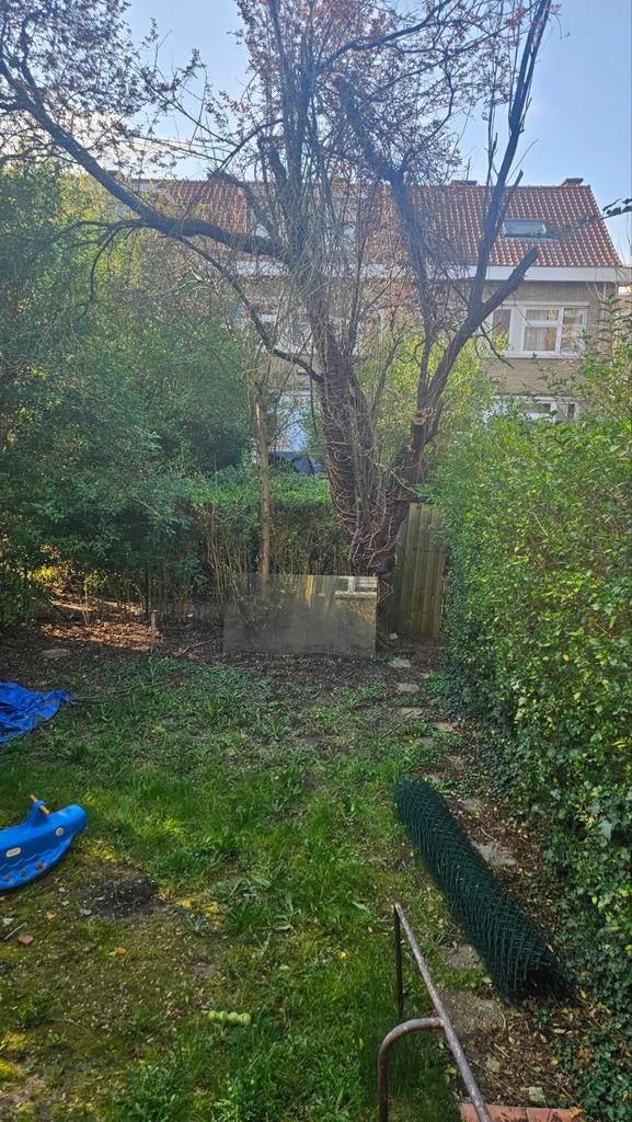 Bois à donner Bruxelles, Jardin & Terrasse, Enlèvement ou Envoi