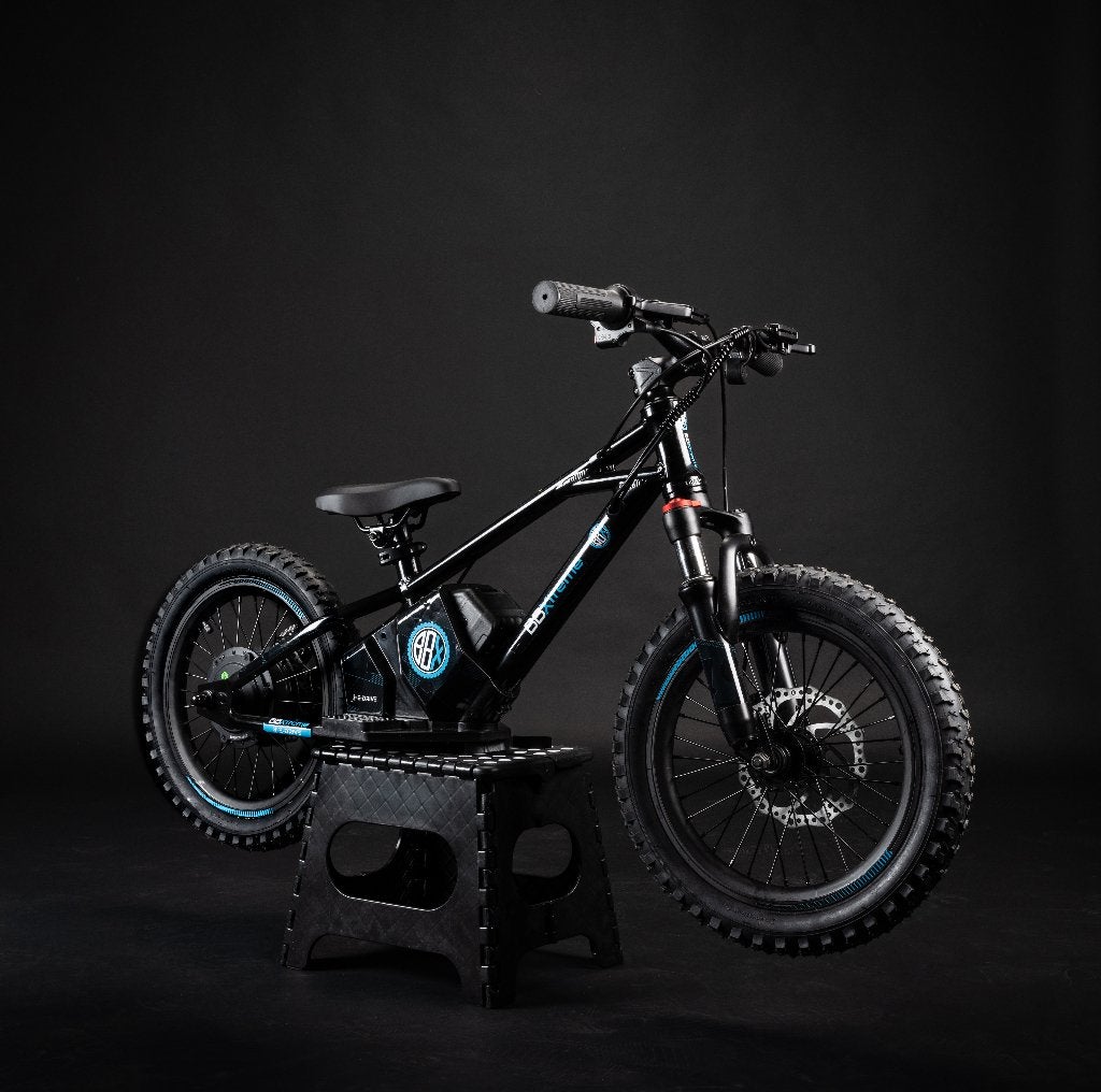 BBX-16 elektrische balance bike kids 36V 350W hydr. remmen, Kinderen en Baby's, Nieuw