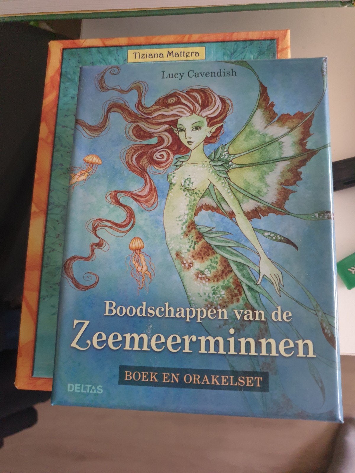 Boodschappen van de zeemeerminnen, Enlèvement ou Envoi, Comme neuf