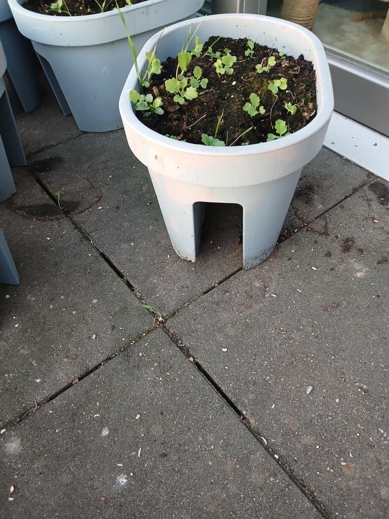 2 bloembakken voor op balustrade te plaatsen. Lichtgrijze kl, Jardin & Terrasse, Enlèvement