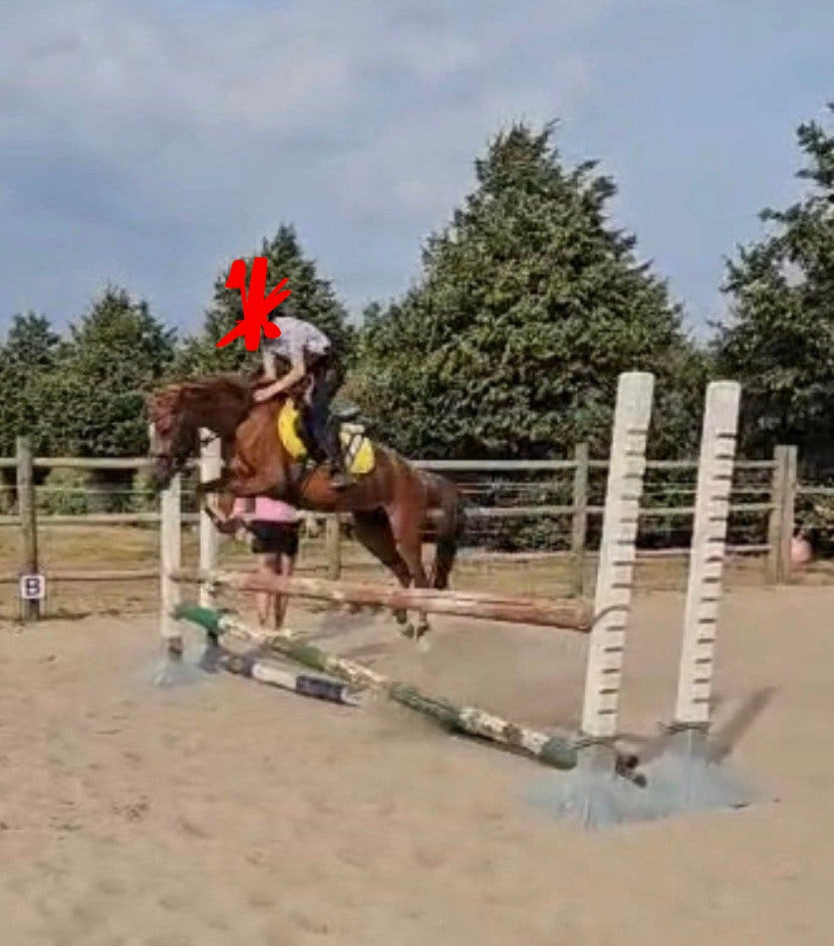 Knappe B pony - 7 jarige allround merrie, Dieren en Toebehoren, Pony's, Merrie, B