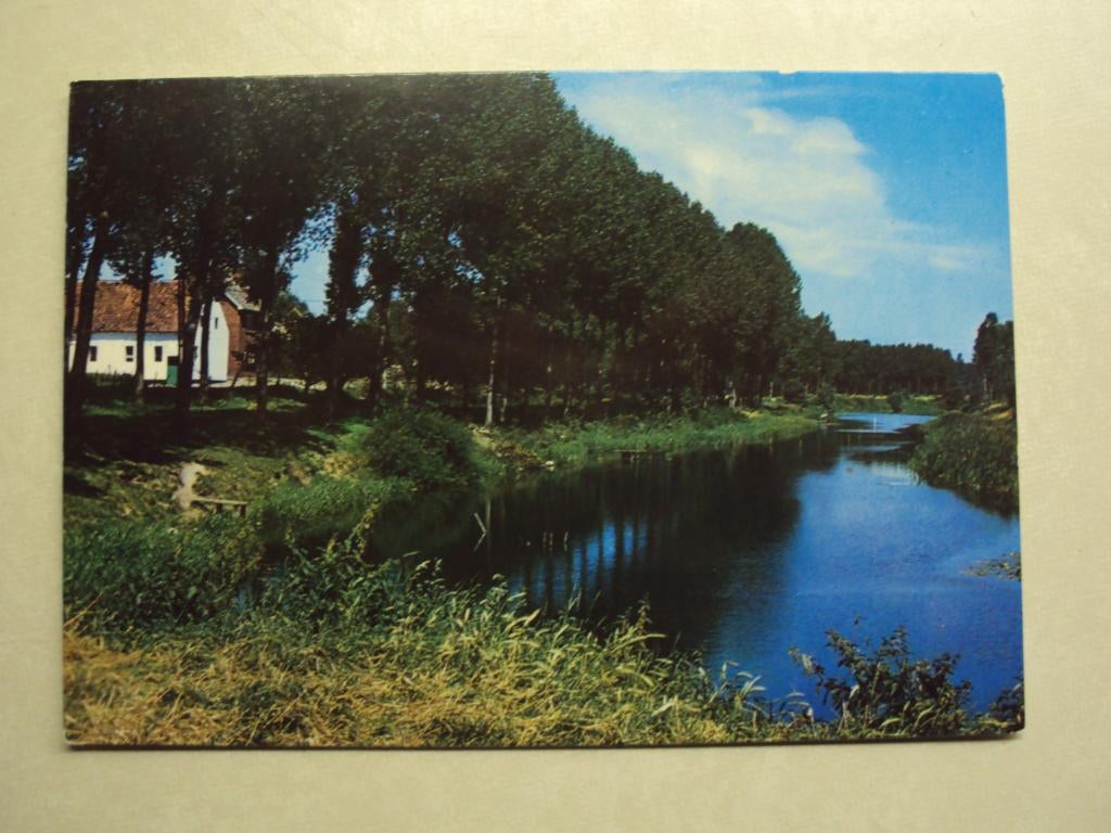 55256 - DILSEN - JEUGDCENTRUM DE KALEI - OUDE MAAS -2 FOTO'S, Verzenden