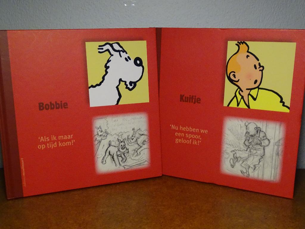 Kuifje: boekje over het personage - Hardcover, Boeken, Ophalen of Verzenden