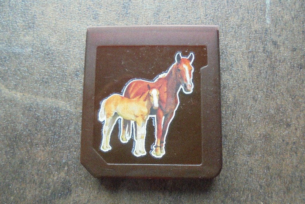 Brown Game Card Case voor DS (zie foto's), Gebruikt, Overige genres, 1 speler, Ophalen of Verzenden