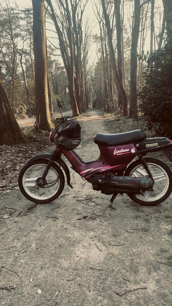 Wallaroo, Fietsen en Brommers, Brommers | Honda, Ophalen