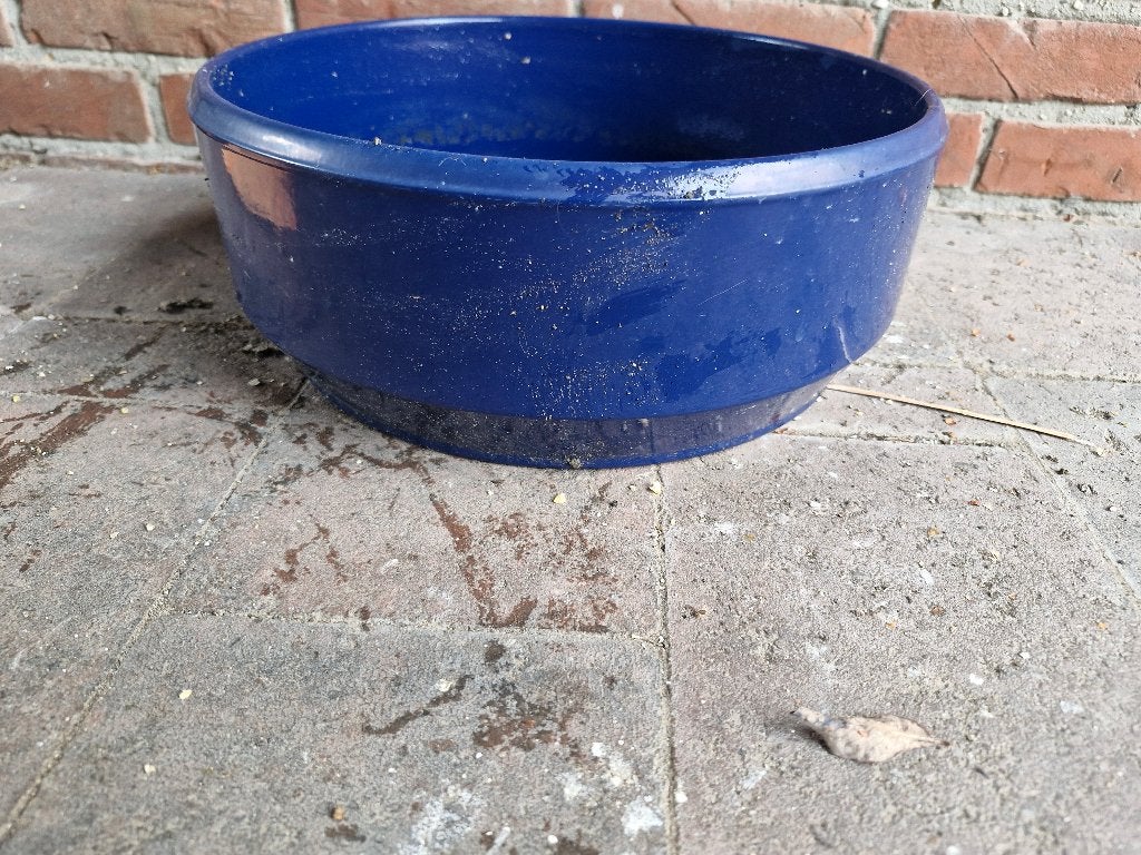Bloempot, Tuin en Terras, Rond, Zo goed als nieuw, Minder dan 40 cm, Binnen