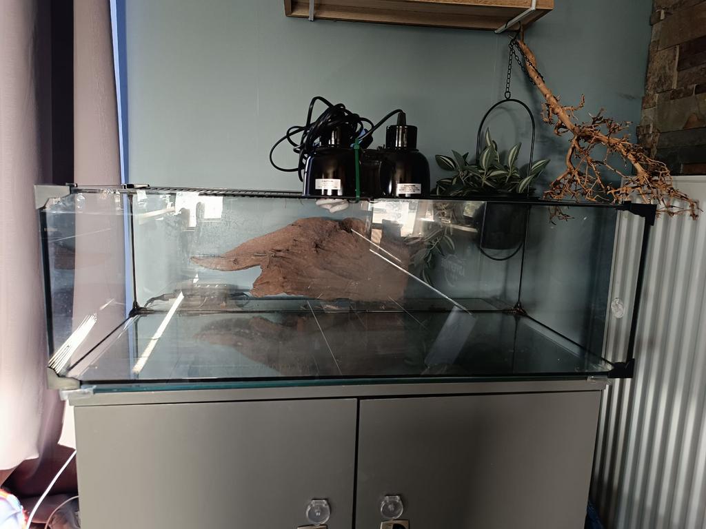 Terrarium, Enlèvement, Comme neuf