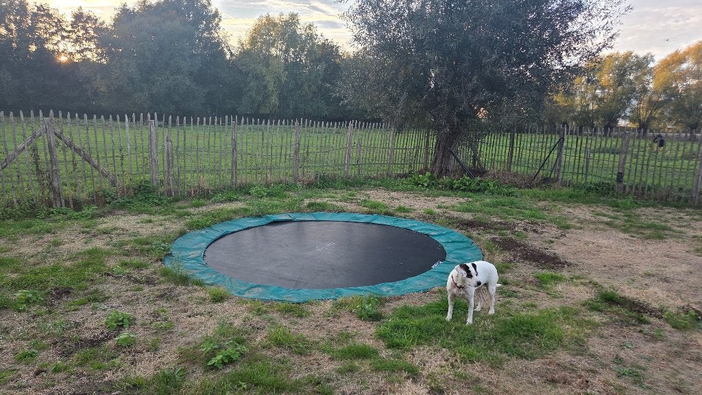 inground trampoline (berg) 380 cm doormeter, Kinderen en Baby's, Ophalen, Gebruikt