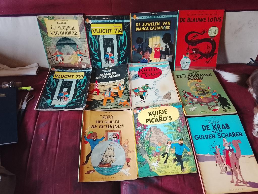 livre tintin néerlandais, Enlèvement ou Envoi, Néerlandais, Comme neuf, Casterman