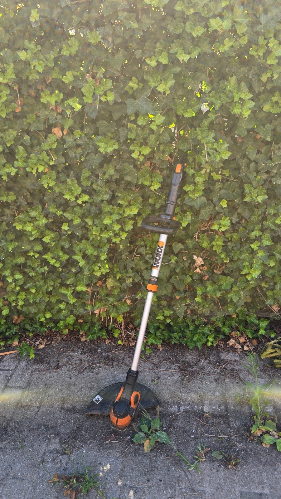 Tondeuse Worx Edge avec batterie, Jardin & Terrasse, Enlèvement, Neuf, Worx