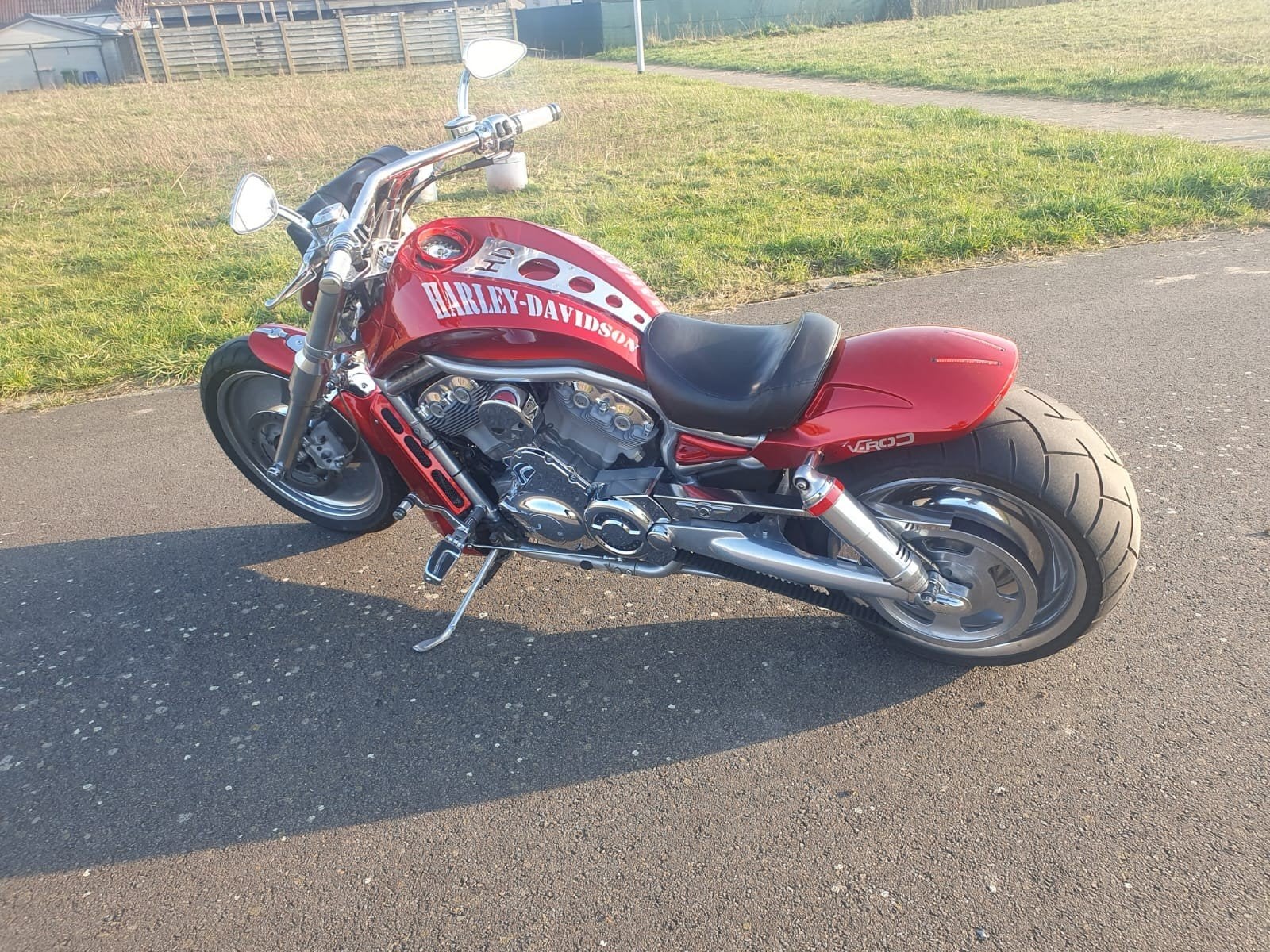 Harley davidson  v rod, Motoren, 1150 cc, 2 cilinders, Chopper, Particulier