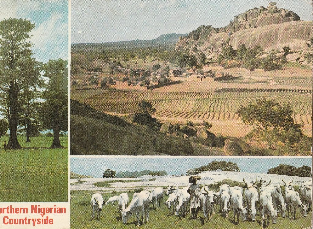 NIGERIA  NOORD -  Countryside  + Mooie postzegels !, Verzamelen, Postkaarten | Buitenland, Ophalen of Verzenden, 1980 tot heden