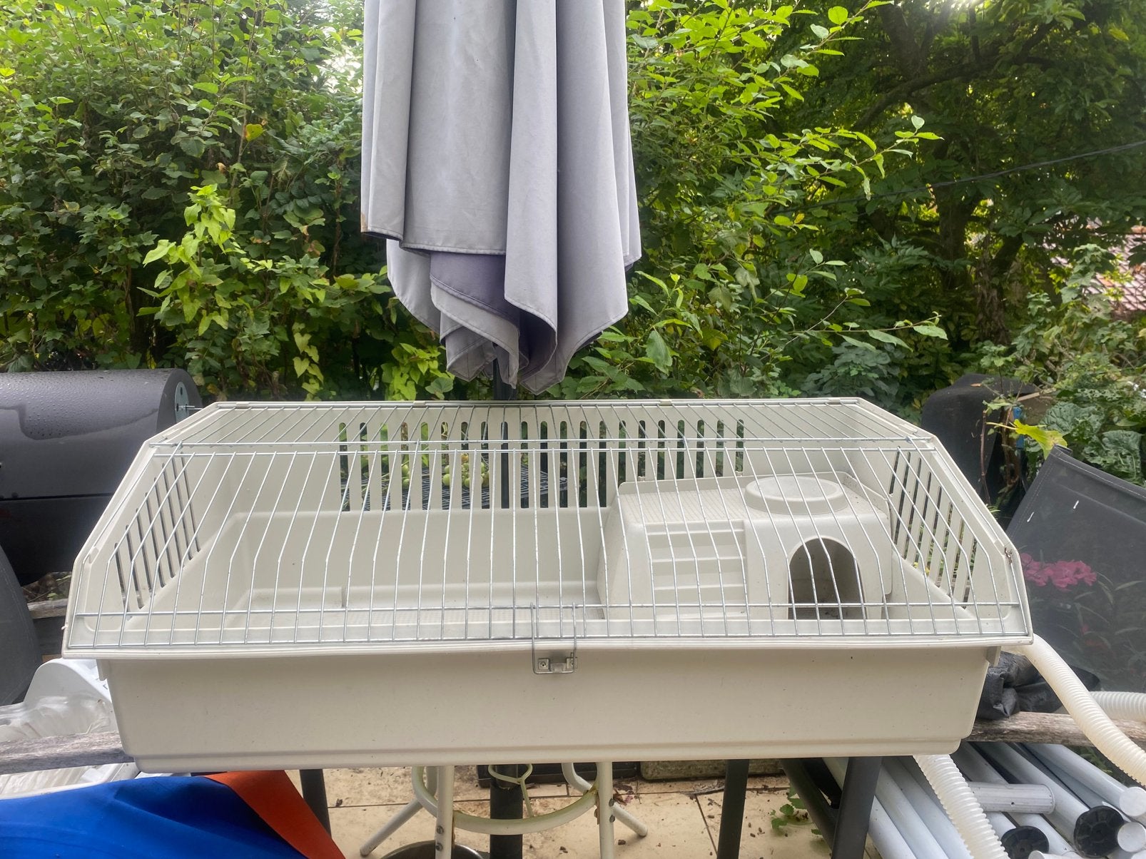 Cage lapin ou cochon d’inde, Enlèvement, Comme neuf