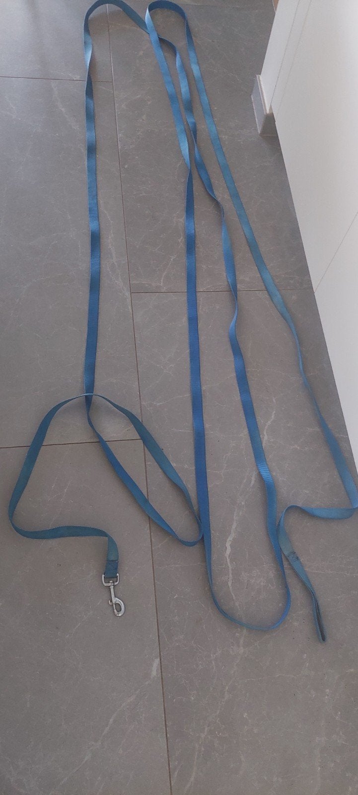 Honden riem leiband trainingslijn 10 m weinig gebruikt, Dieren en Toebehoren, Hondenriemen, Ophalen, Zo goed als nieuw, Hondenriem