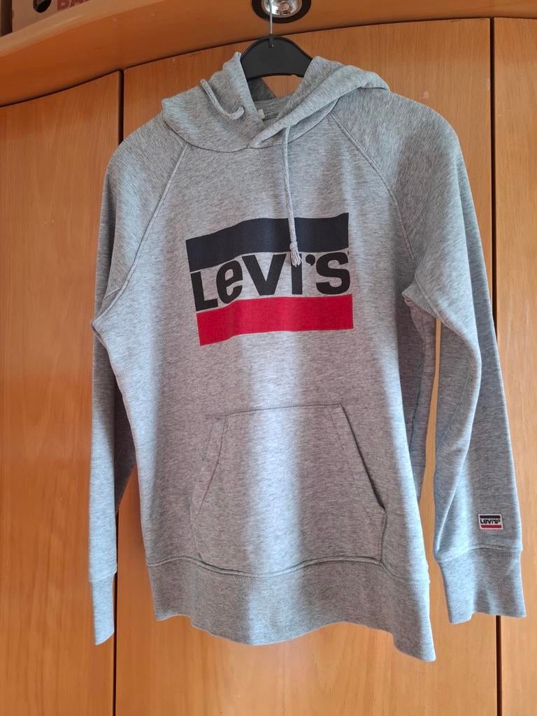 Hoodie, Ophalen of Verzenden, Maat 34 (XS) of kleiner, Grijs, Gedragen